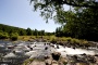 Three Pond Gorge